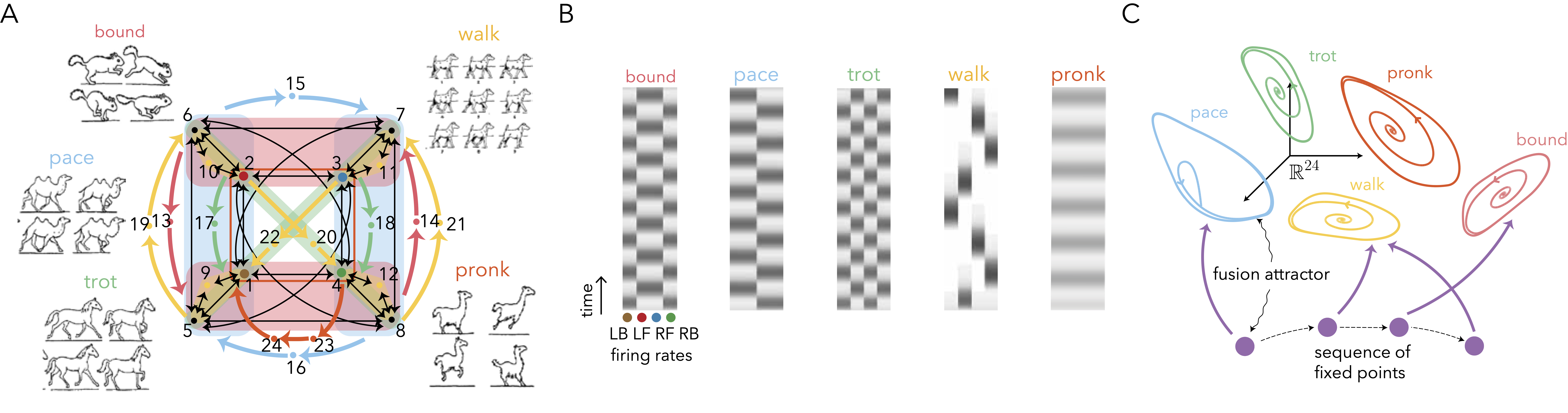 Quadruped gait network summary